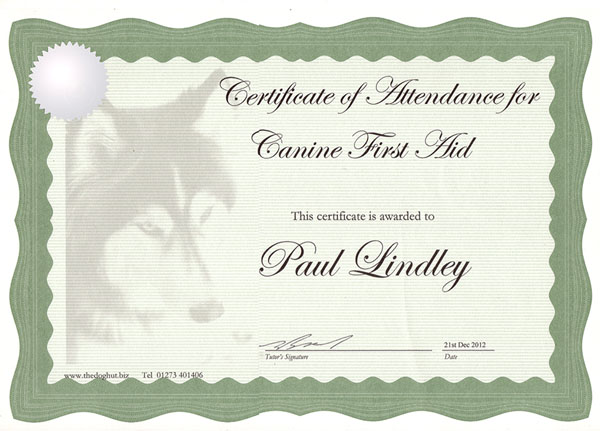 first aid certificate